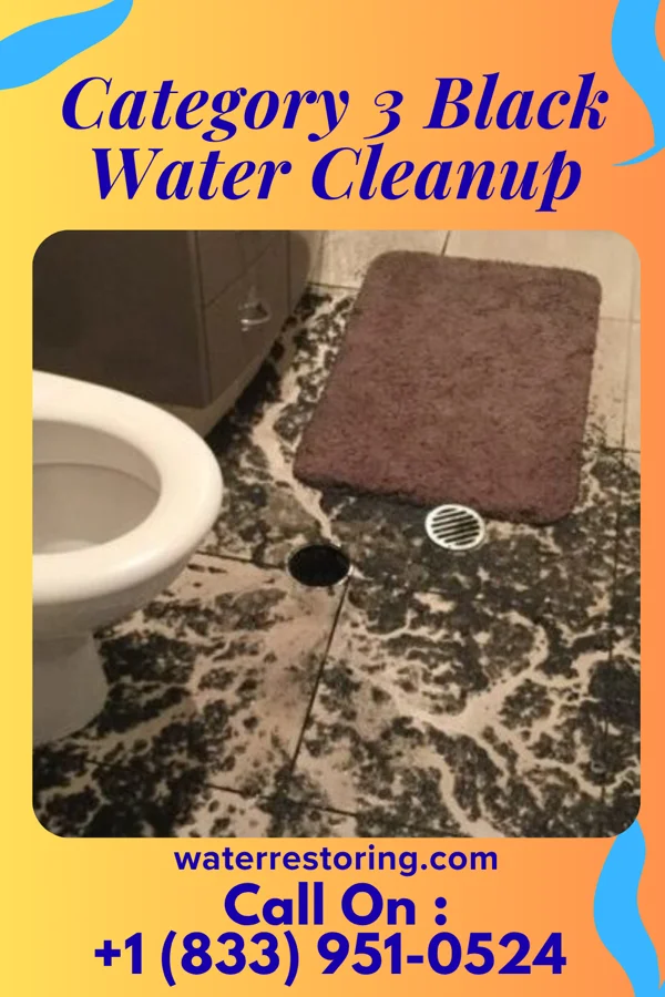 Category 3 Black Water Cleanup in Chester, PA