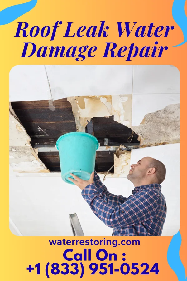 Roof Leak Water Damage Repair in Chester, PA