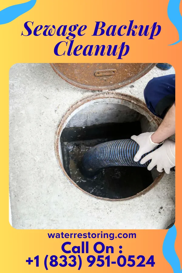 Sewage Backup Cleanup in Chester, PA